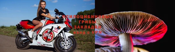 MESCALINE Алзамай