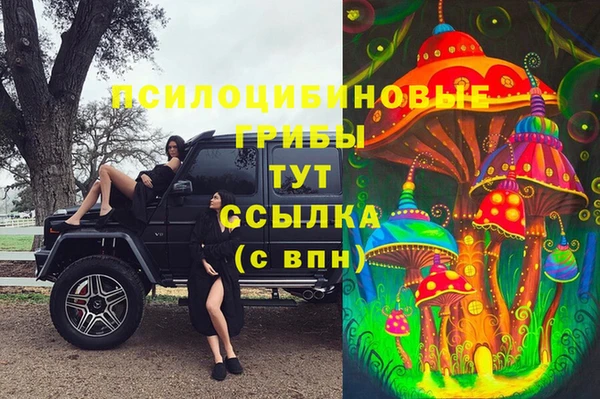 MDMA Алексин
