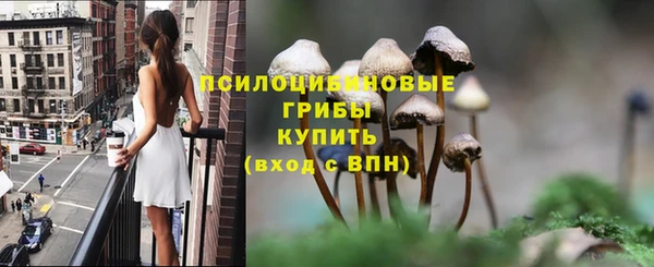 MESCALINE Алзамай
